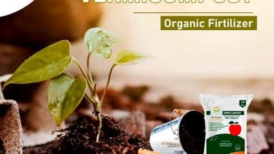 Revolutionize Farming with the Top Vermicompost Manufacturers in Punjab